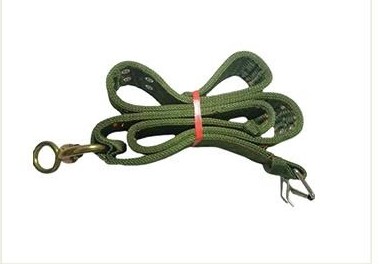 Animal collar