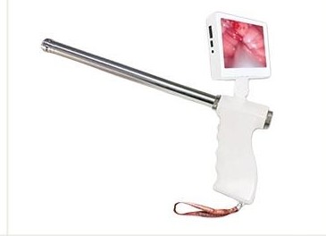 Artificial insemination gun