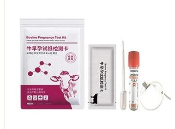 Bovine pregnancy test kit