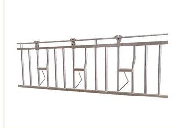 Cattle head lock