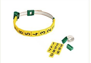 Cattle neck tag